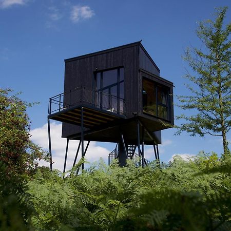 Treeangle - K1 Baumhaus Villa Odenthal Eksteriør bilde